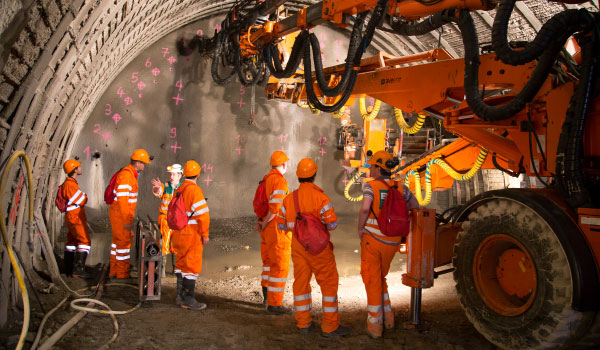 Terrafirma labour hire